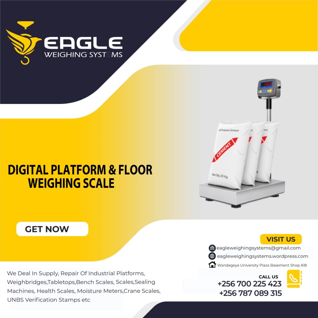 Digital Floor Warehouse Weighing Scales

